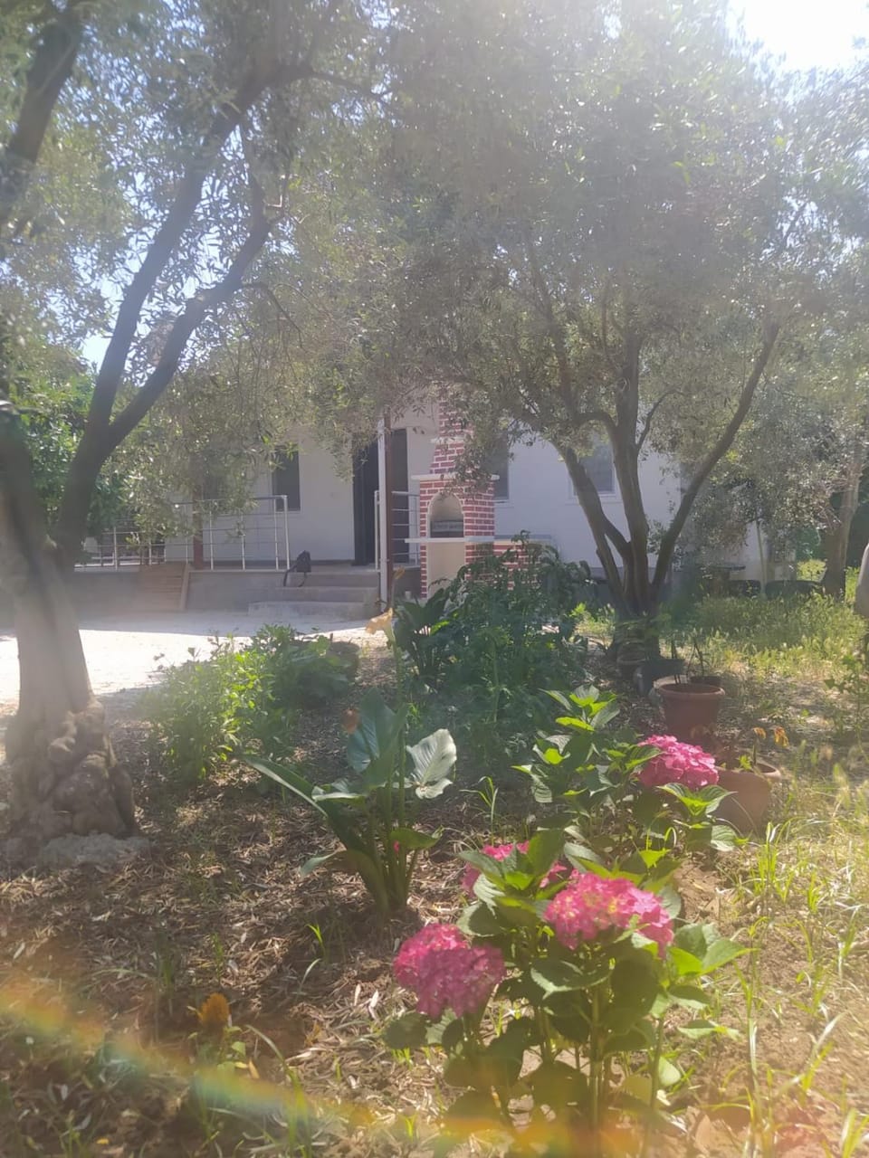 Garden, Garden view