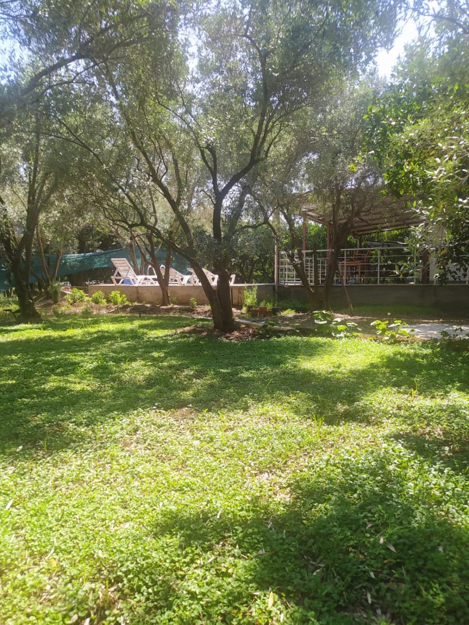 Natural landscape, Garden, Garden view