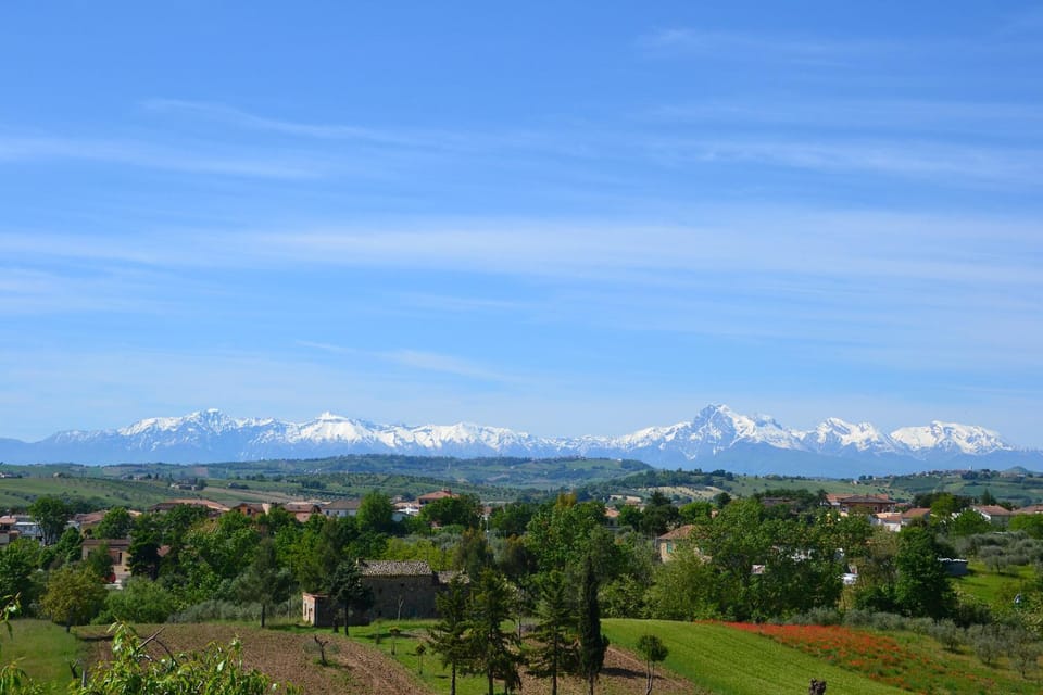 Mountain view