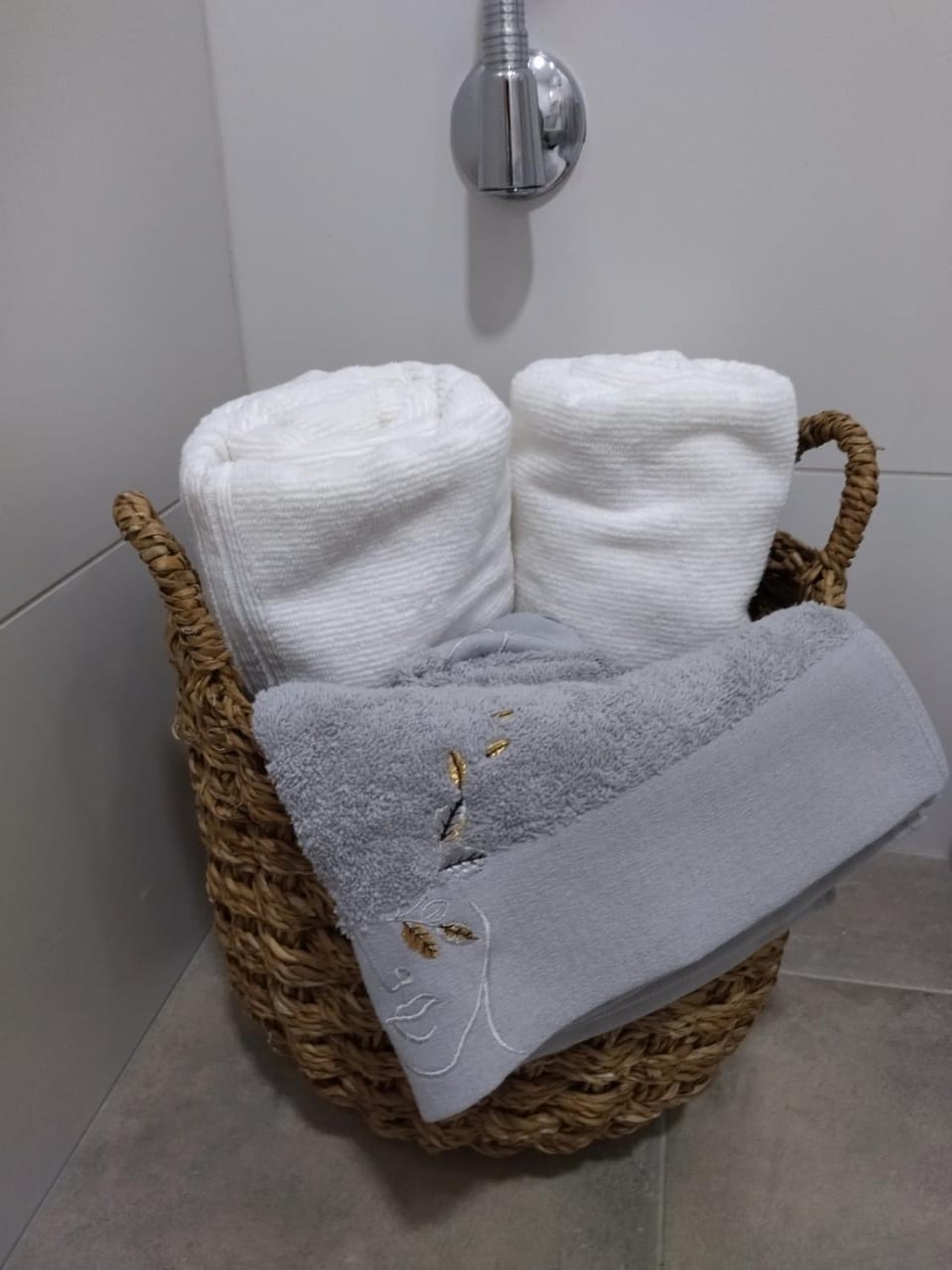 Apartman Silver Apartment in Zlatibor