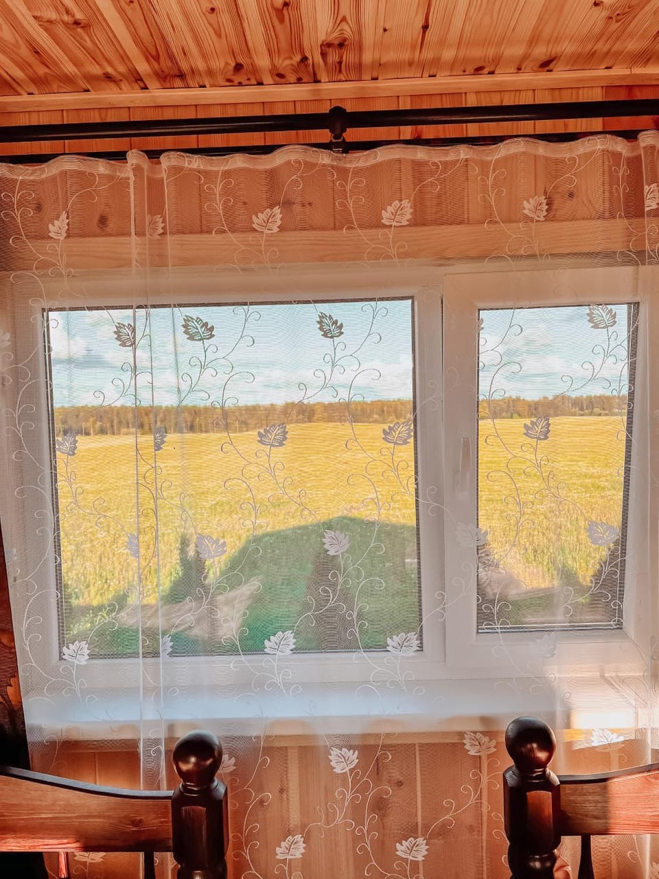 Natural landscape, View (from property/room)