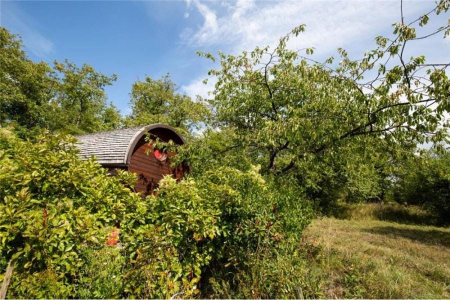 Le Chalet du Chemin et sa Roulotte House in Saarland, 66, Germany