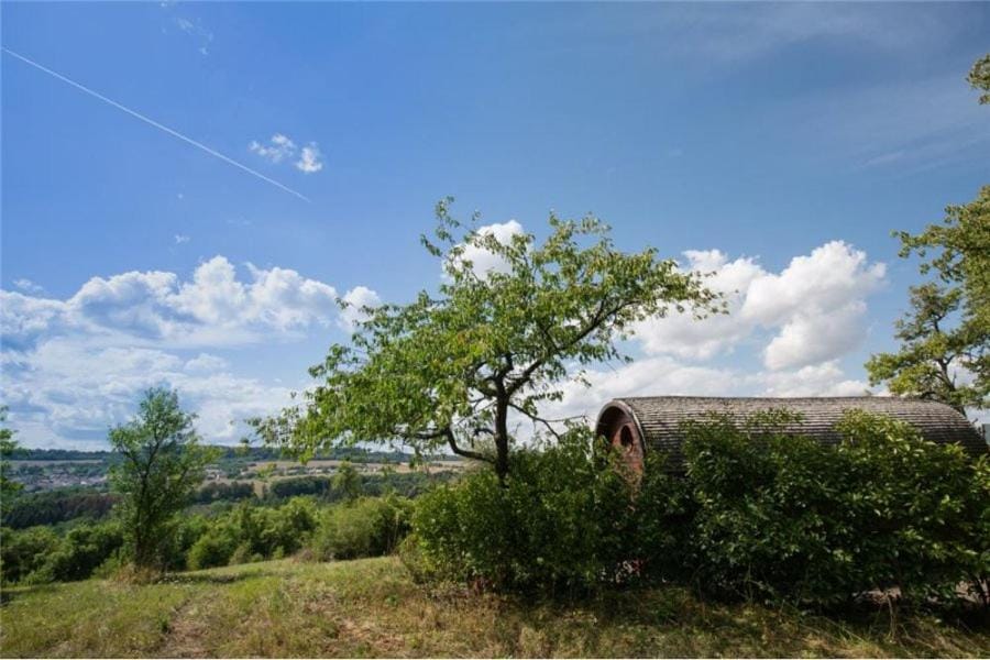 Le Chalet du Chemin et sa Roulotte House in Saarland, 66, Germany