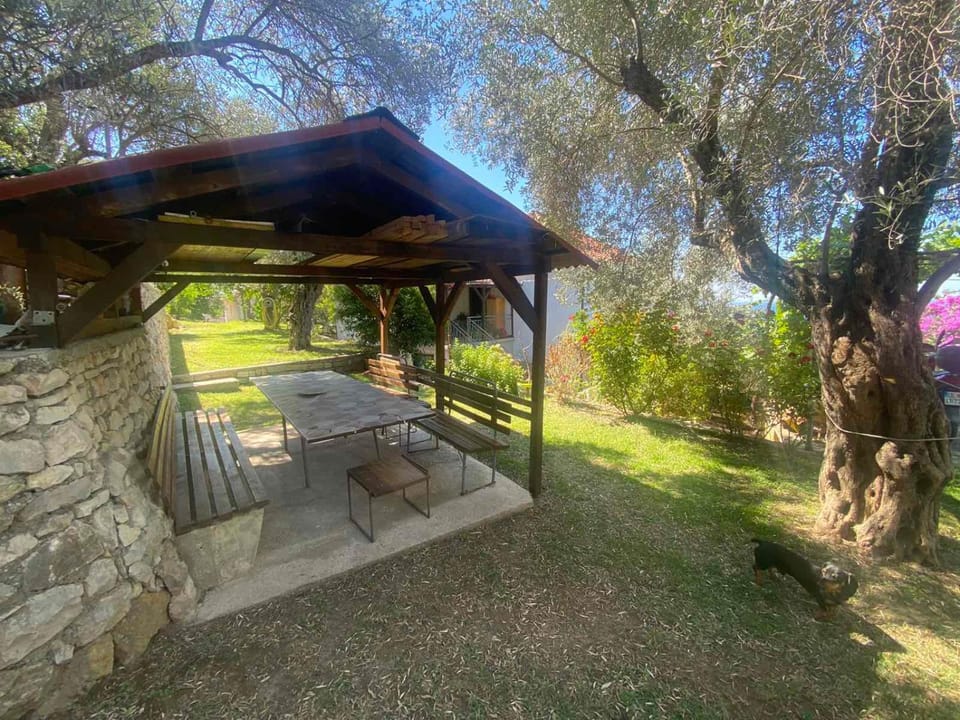 Natural landscape, Garden, Garden view