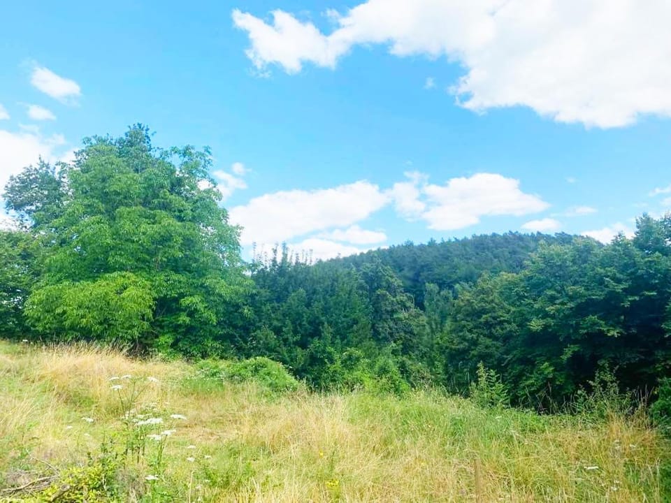 Natural landscape