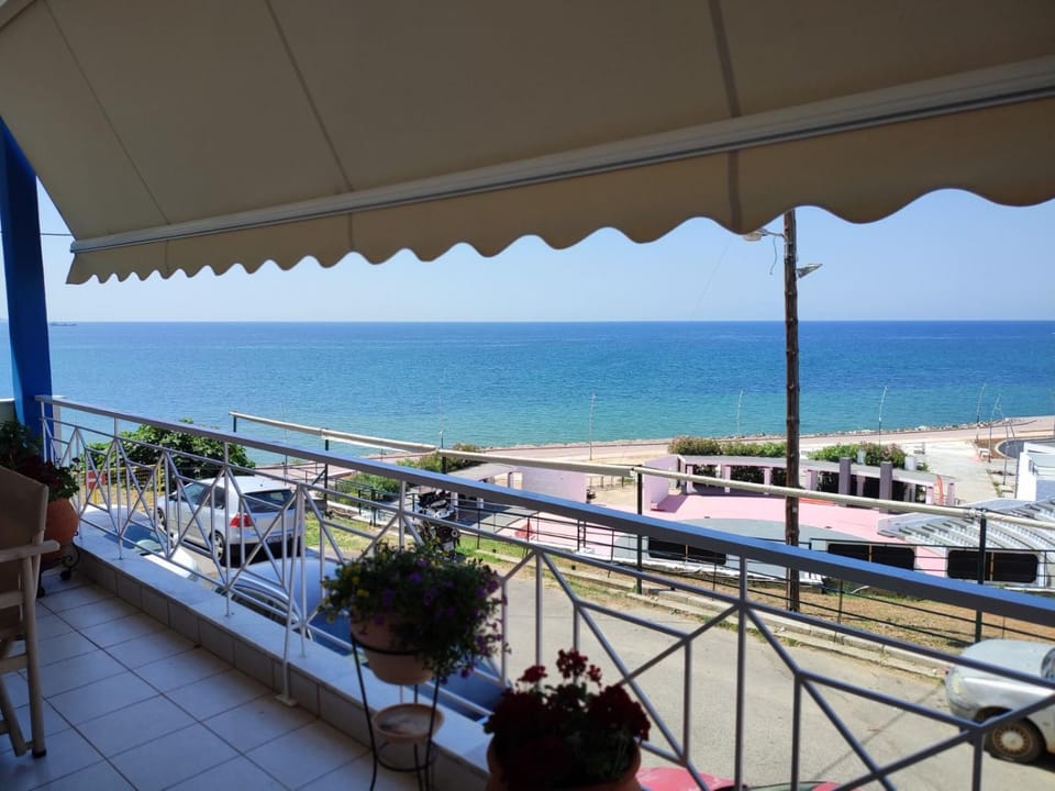 Blue Dolphins Apartment Apartment in Halkidiki