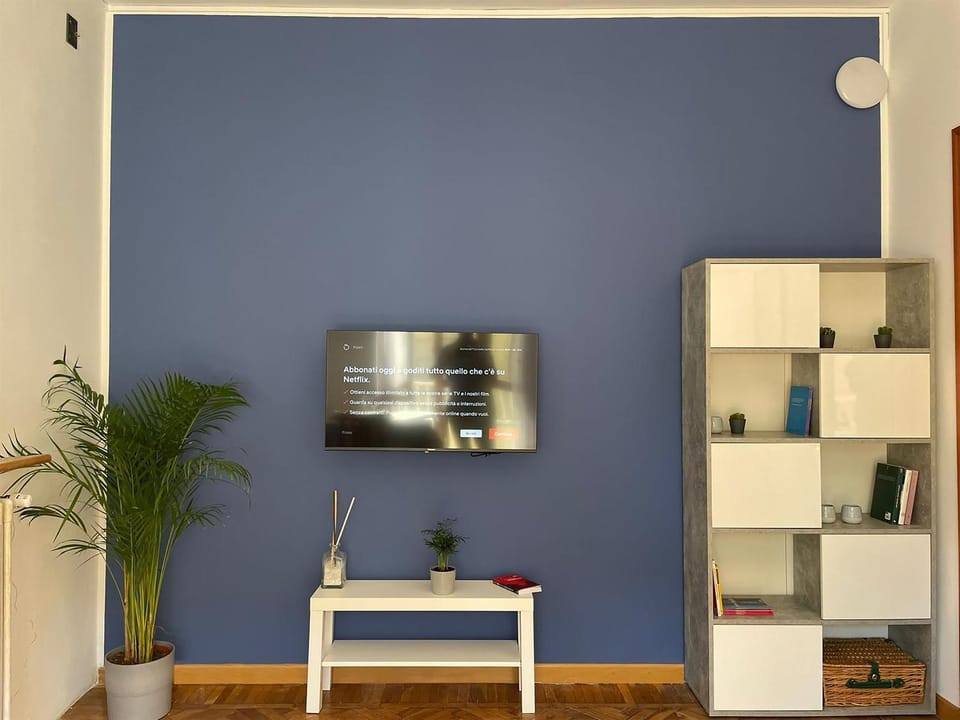 TV and multimedia