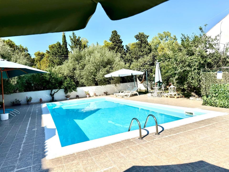 Day, Garden, Garden view, Pool view, Swimming pool, sunbed
