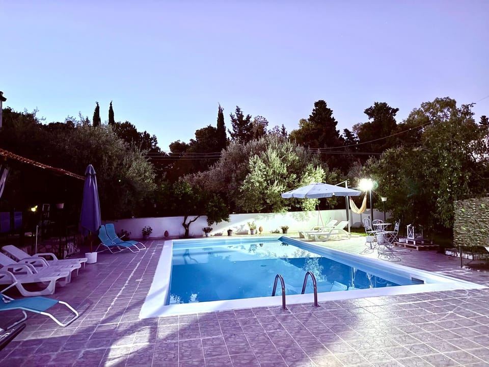 Day, Pool view, Swimming pool, sunbed