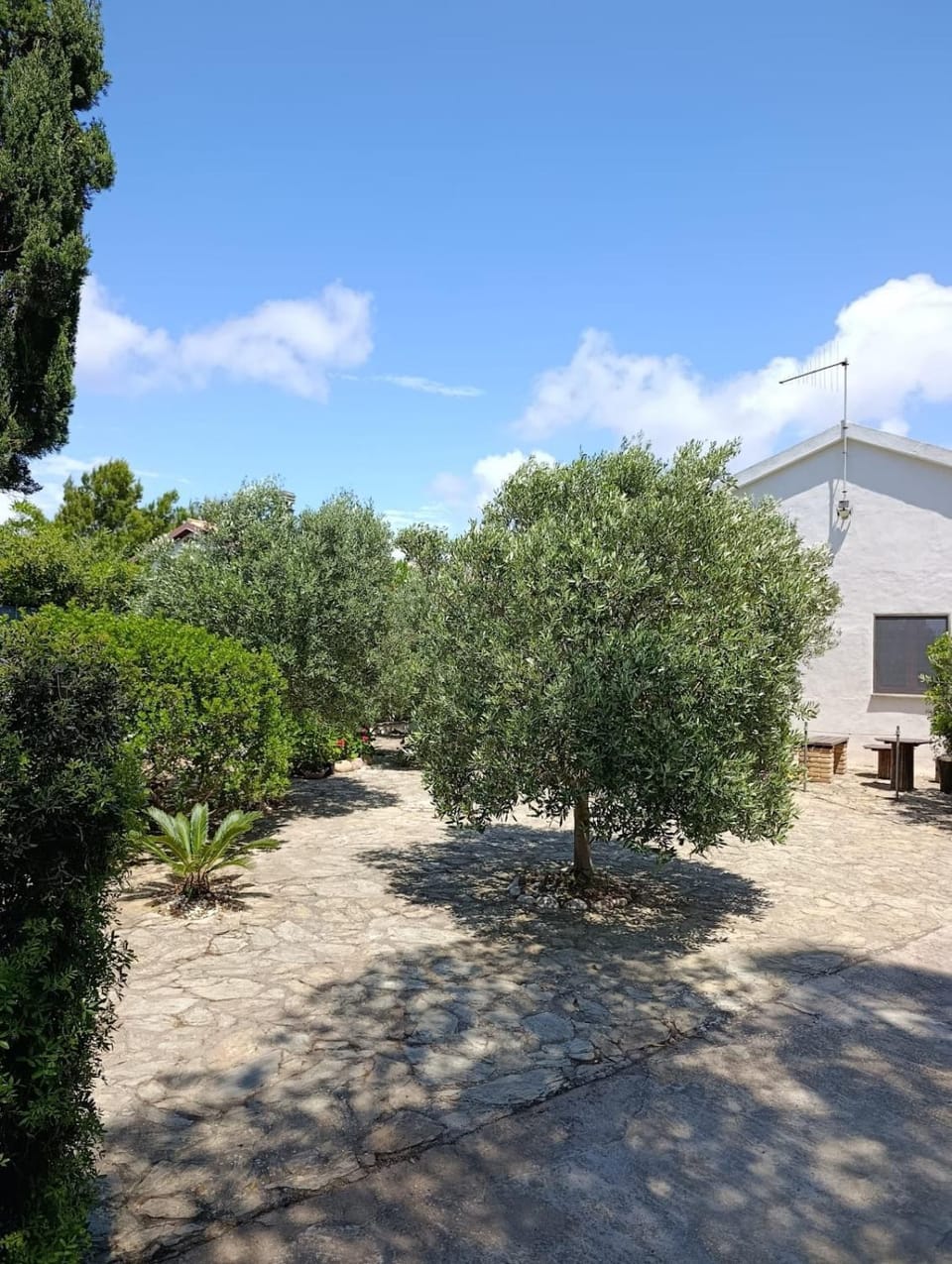 Spring, Garden, Garden view