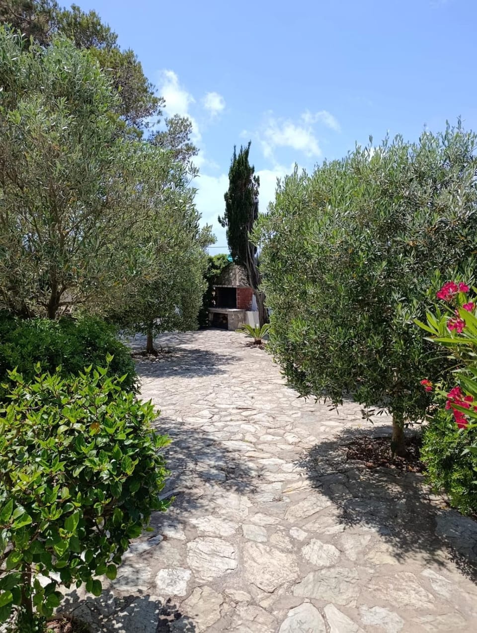 Spring, Garden, Garden view