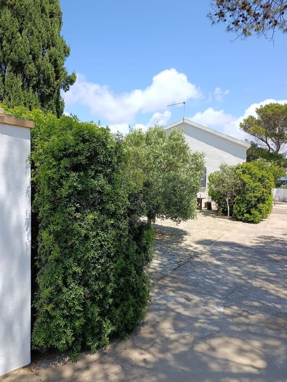 Property building, Garden