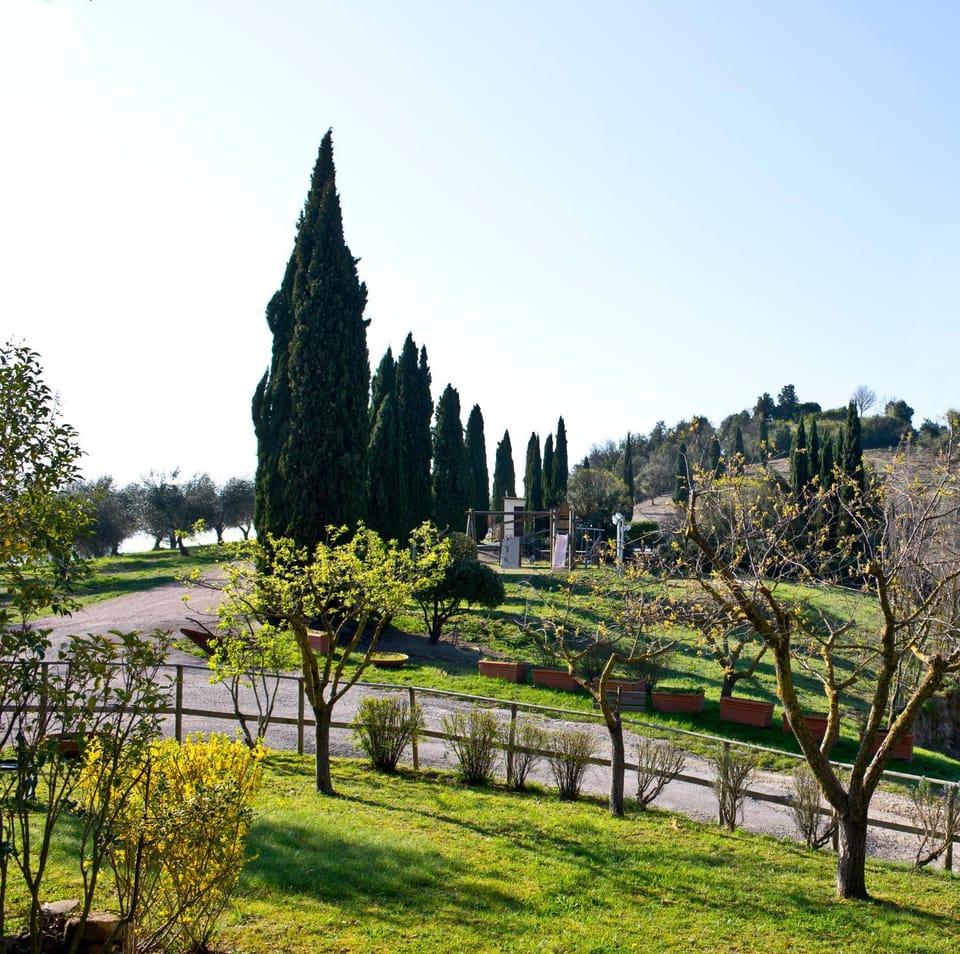 Agriturismo Torre Burchio Farm Stay in Umbria