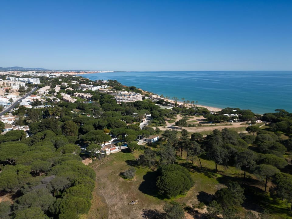 Bird's eye view, Beach