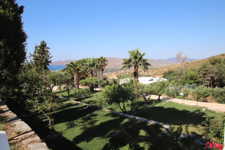 Natural landscape, Garden, Garden, Mountain view