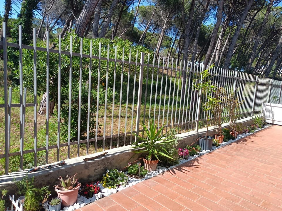 Bibbona Summer - Pineta 1 - Apartment in Tuscany