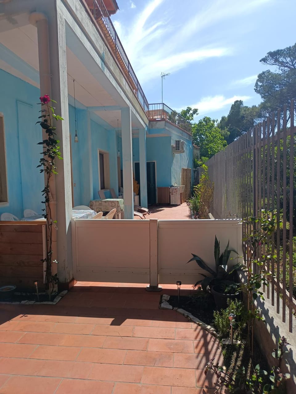 Bibbona Summer - Pineta 1 - Apartment in Tuscany