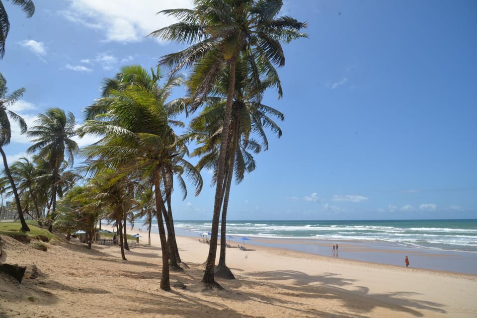 Natural landscape, Beach, Sea view