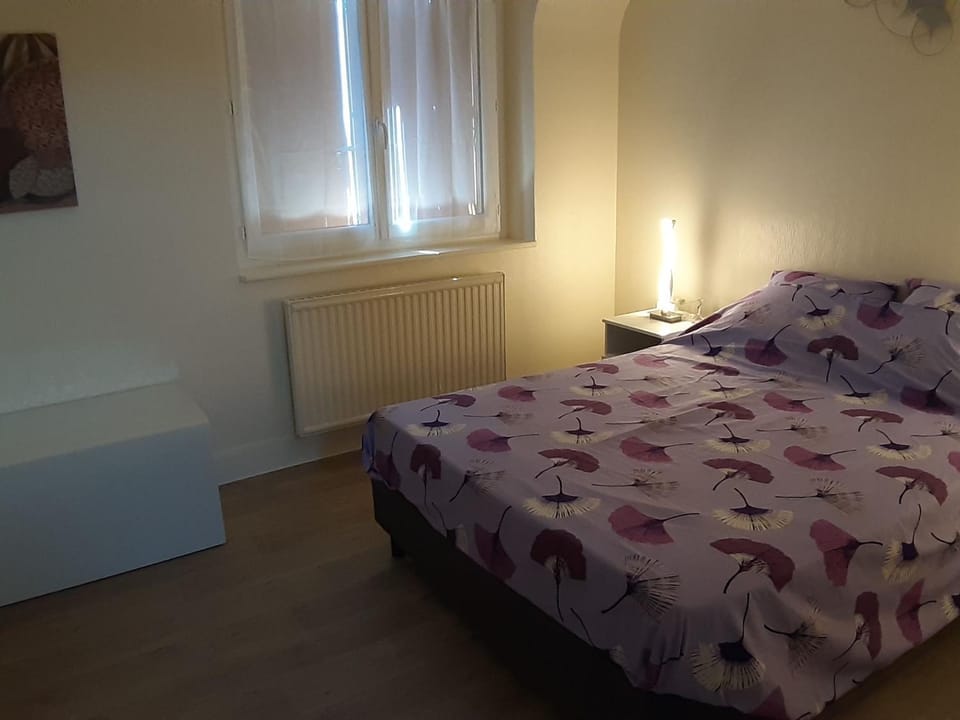 Gîte cosy près d'Orléans avec jardin, parking, et équipements complets - FR-1-590-252 House in Centre-Val de Loire
