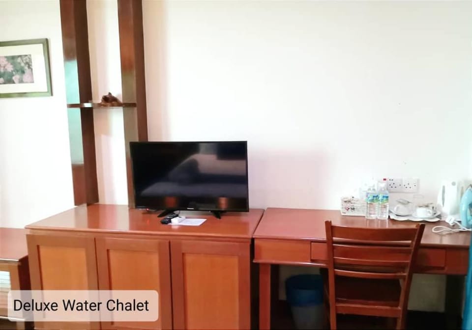 TV and multimedia