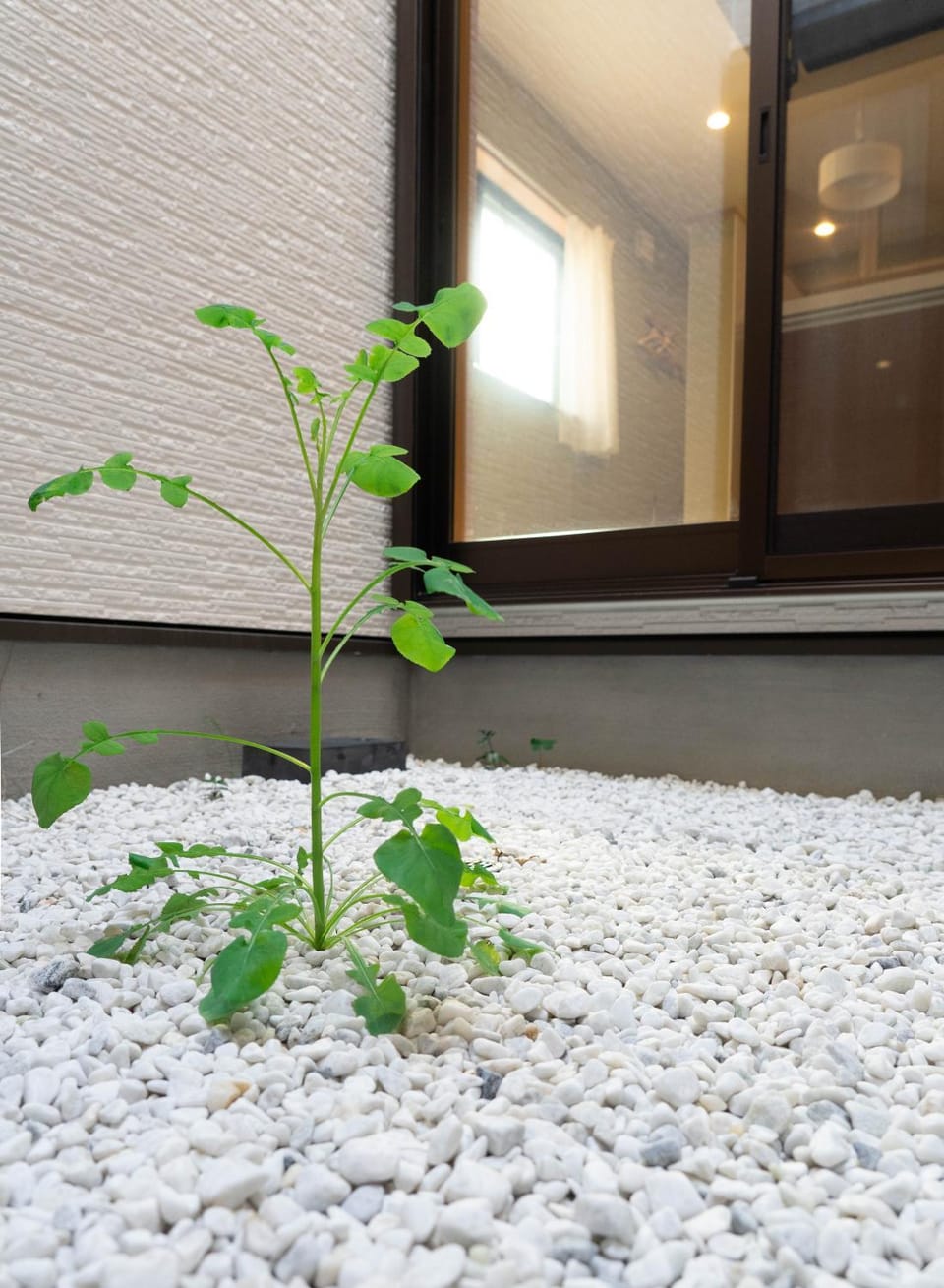 HANASTAY花渓居 · 尺八（SYAKUHACHI) Villa in Osaka