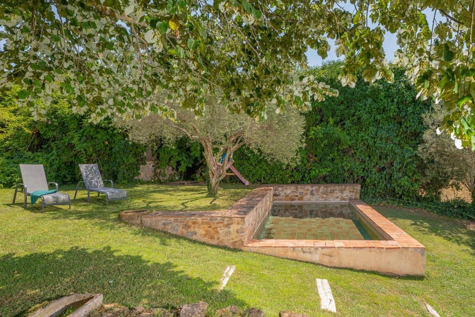 Garden, Swimming pool, sunbed