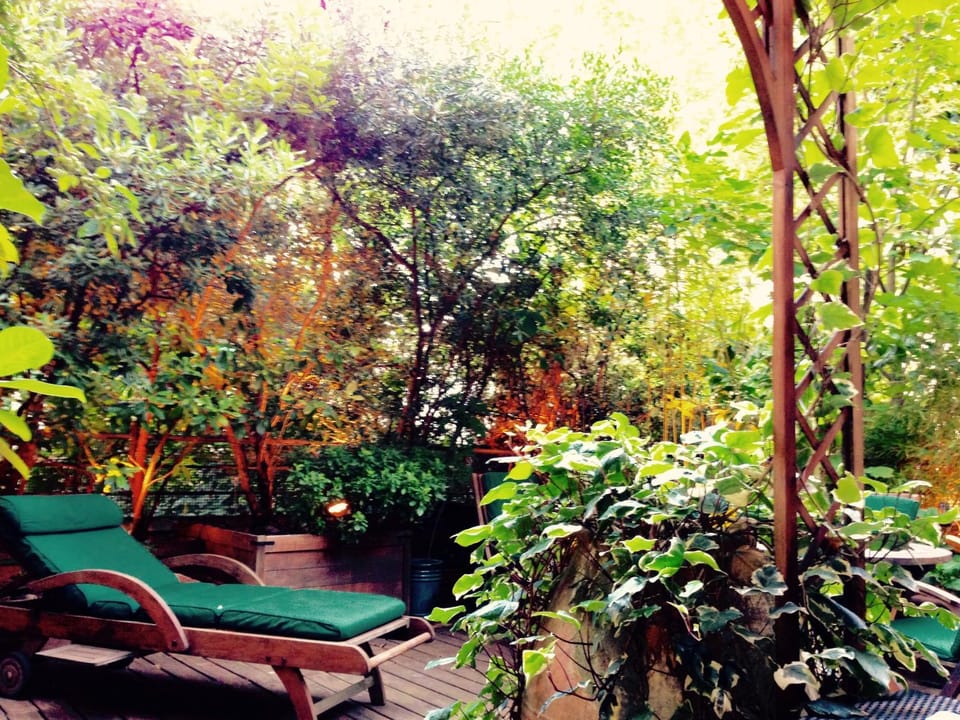 Patio, Garden, Garden, Solarium, Garden view