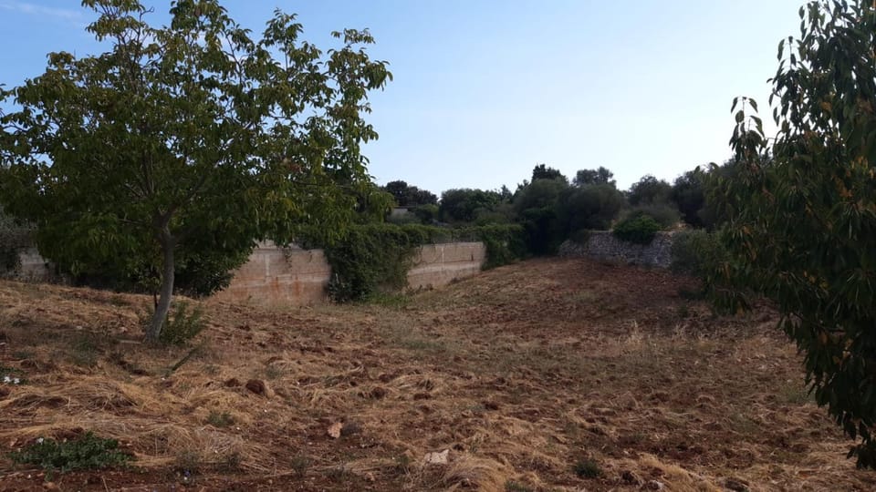 Casetta in campagna da zia Tonia Apartment in Martina Franca