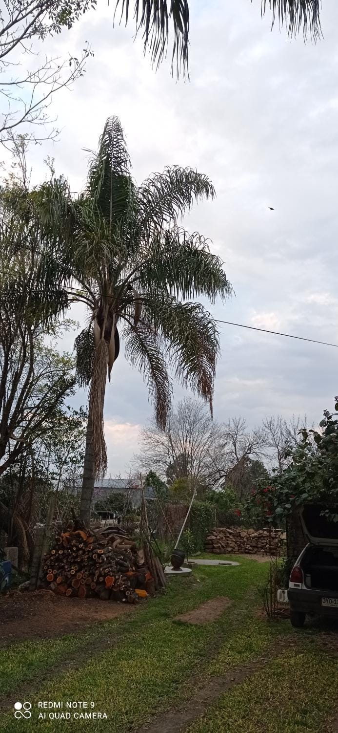 Natural landscape