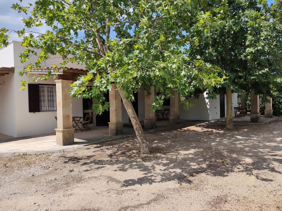 Property building, Garden, Garden view