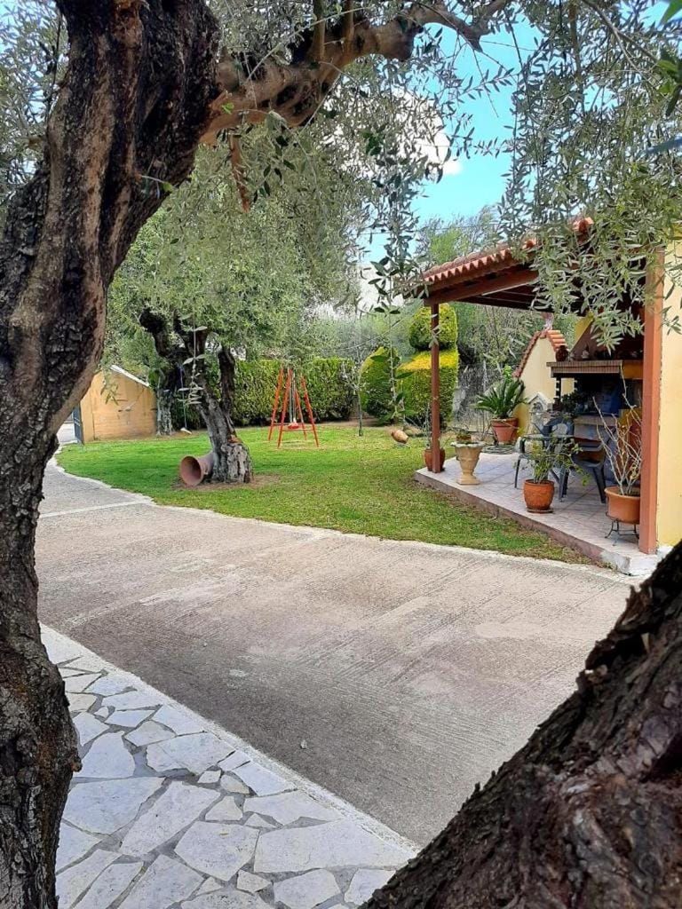 Garden, Garden view