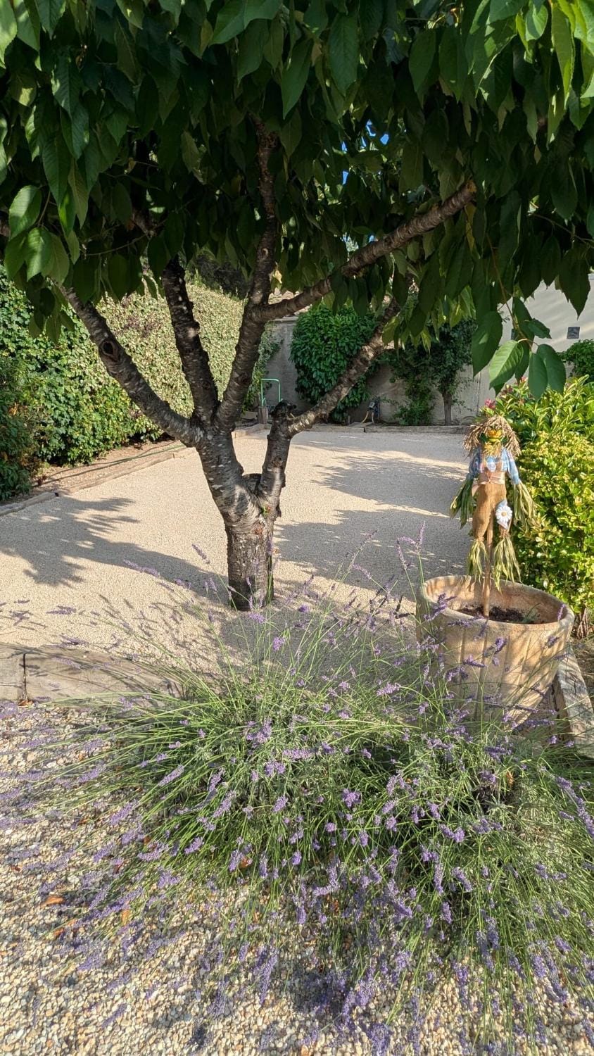 Children play ground, Garden view