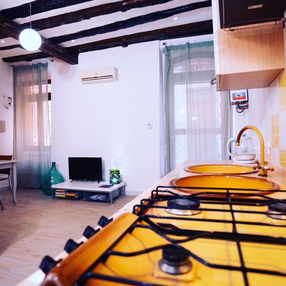 TV and multimedia, Kitchen or kitchenette, minibar, stove, air conditioner