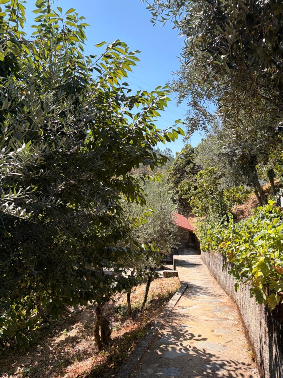 Hiking