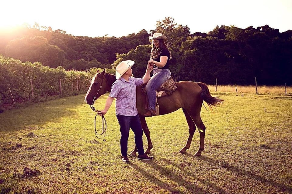 Horse-riding, Animals
