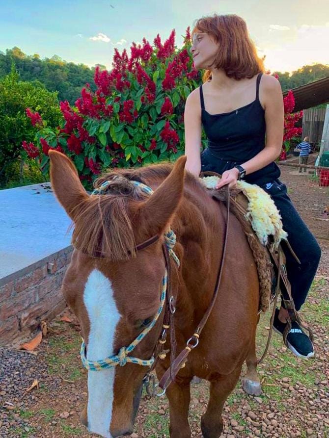 Horse-riding, Animals