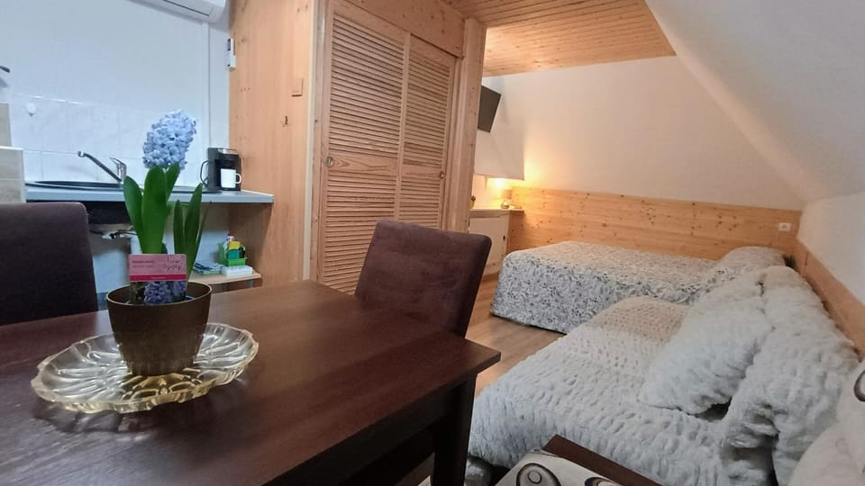 Rodinný Penzion Karin Inn in Czechia