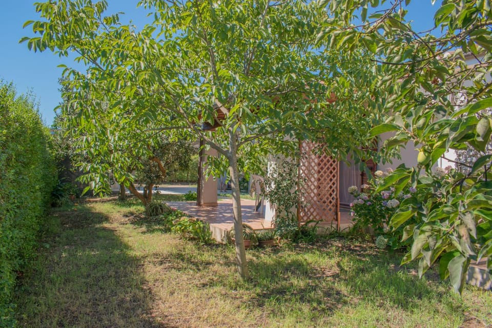 Casa vacanze Tortoli' Apartment in Sardinia