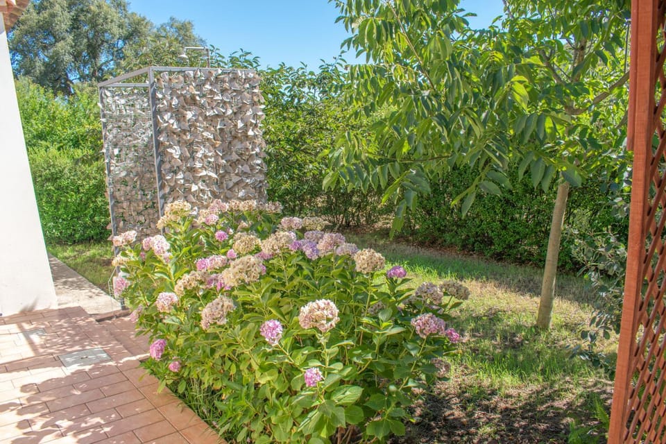 Casa vacanze Tortoli' Apartment in Sardinia