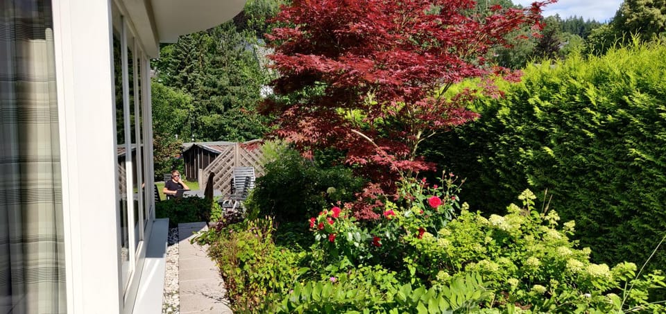 Garden view