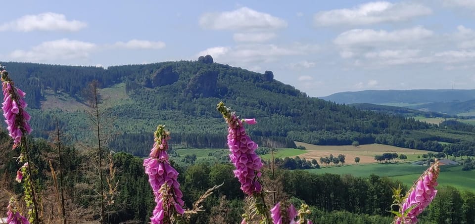 Natural landscape