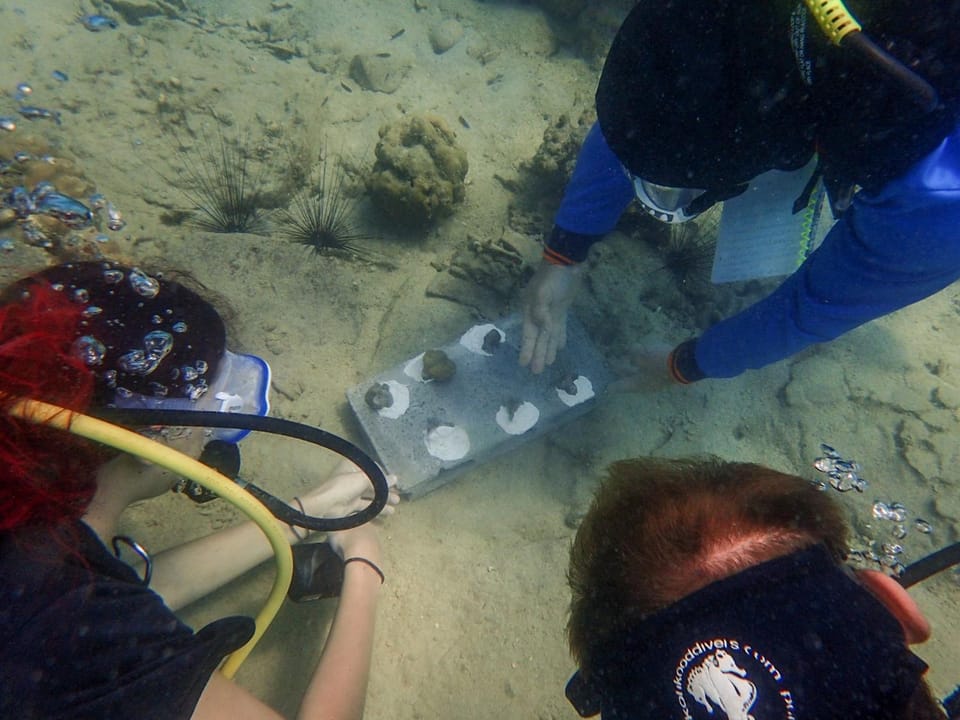 Diving