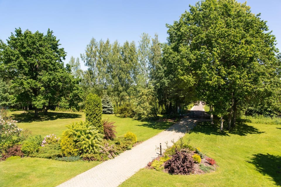 Garden, Garden, Garden view