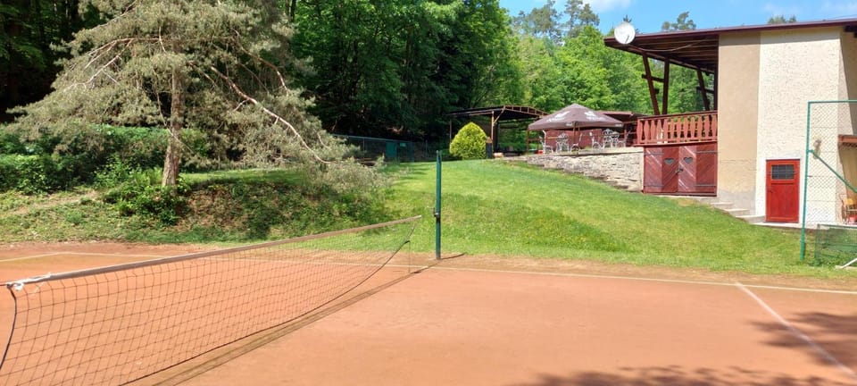 Tennis court