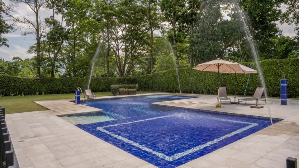 Spring, Day, Natural landscape, Garden, Solarium, Garden view, Pool view, Swimming pool, sunbed