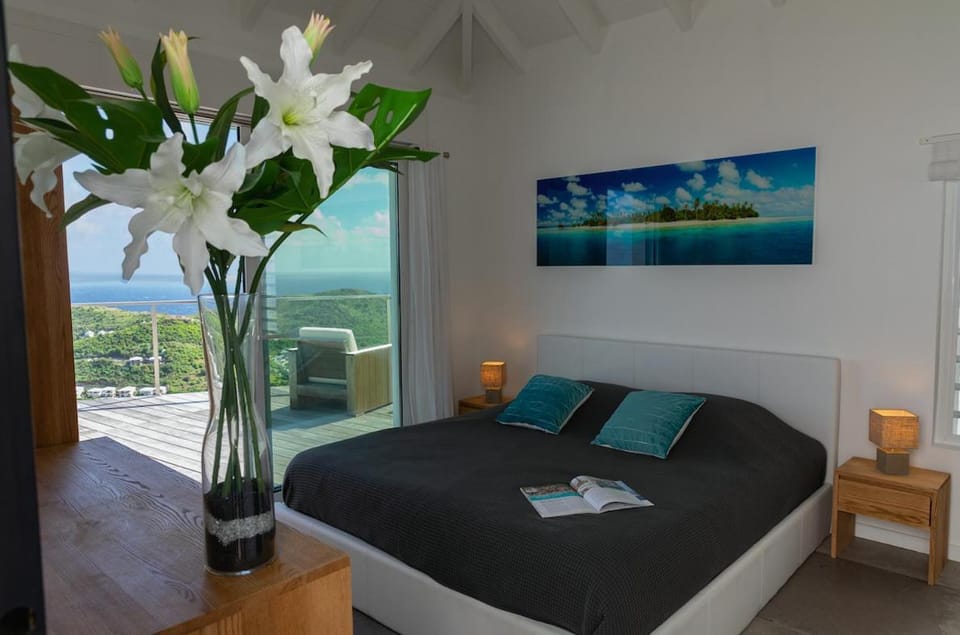 Villa La Vue - Vue panoramique sur les lagons Villa in Saint Barthélemy