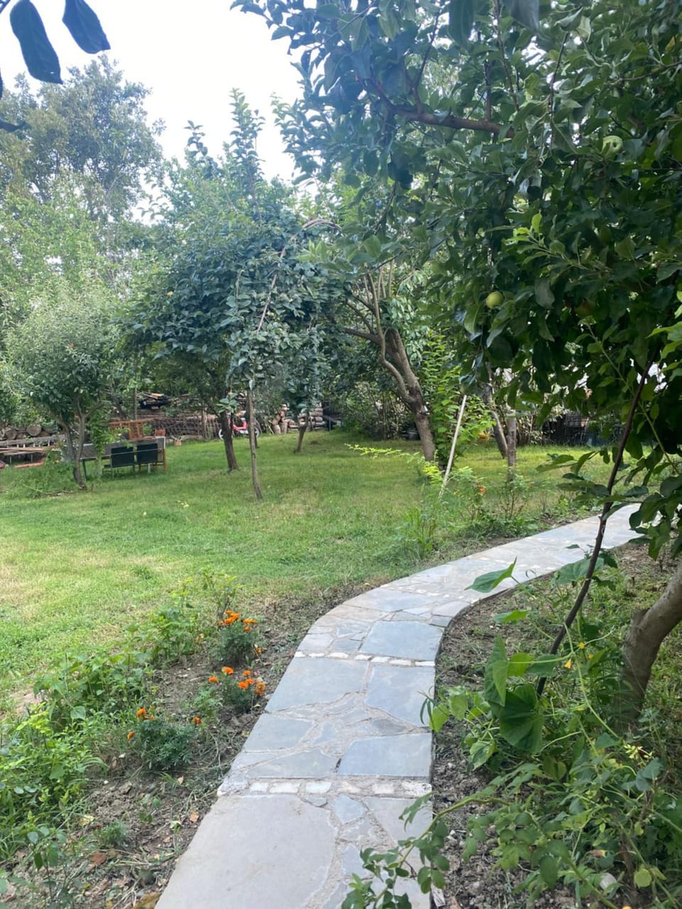 Garden, Garden view, Inner courtyard view