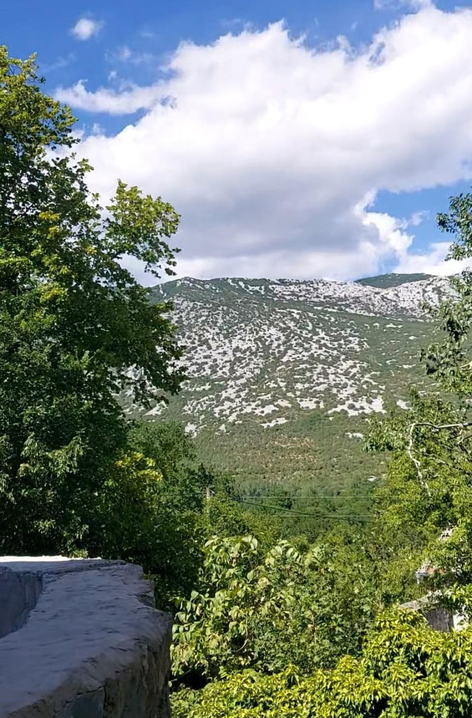 View (from property/room)