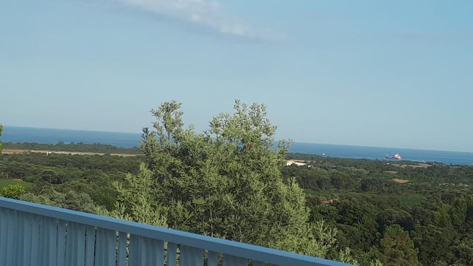 Sea view