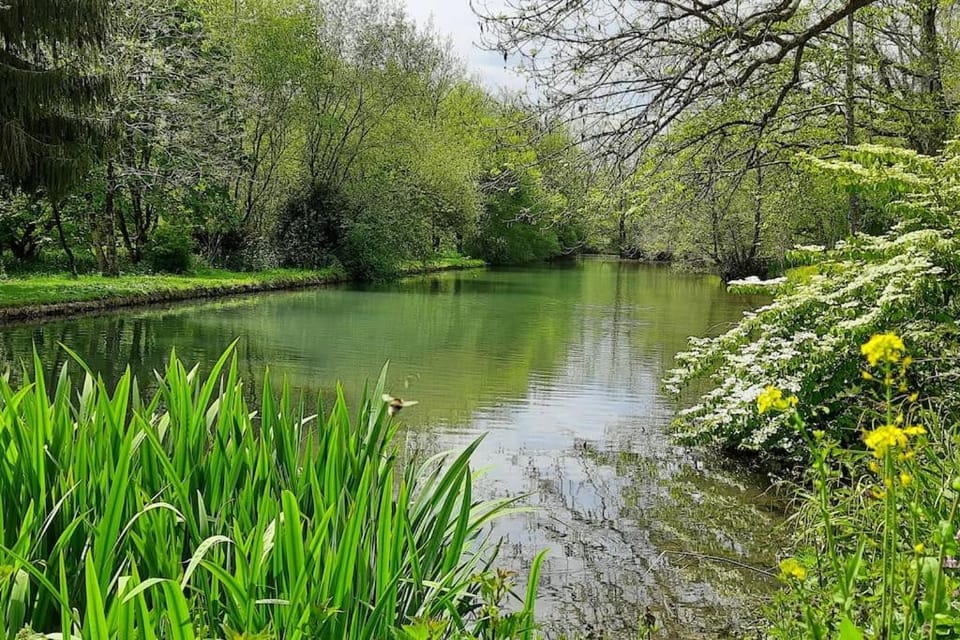 Lake view